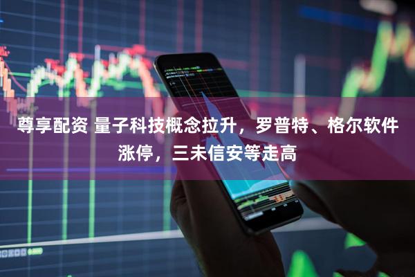 尊享配资 量子科技概念拉升，罗普特、格尔软件涨停，三未信安等走高