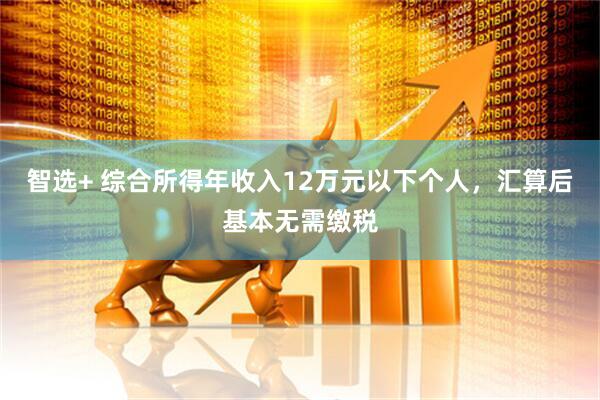 智选+ 综合所得年收入12万元以下个人，汇算后基本无需缴税