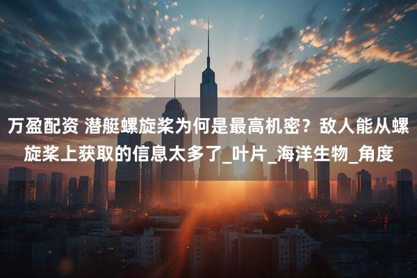 万盈配资 潜艇螺旋桨为何是最高机密？敌人能从螺旋桨上获取的信息太多了_叶片_海洋生物_角度