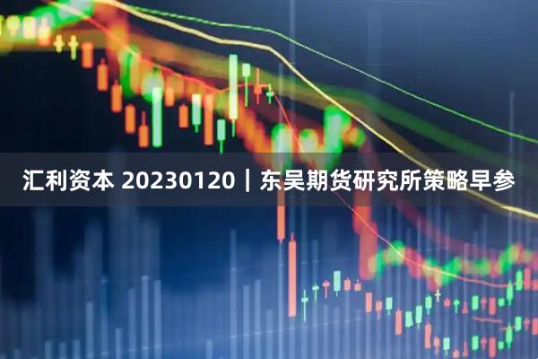 汇利资本 20230120｜东吴期货研究所策略早参